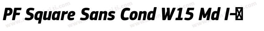 PF Square Sans Cond W15 Md I字体转换